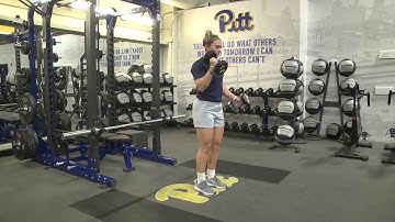 Iso Alt  Hammer Curls