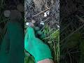 Клад, як не крути #metaldetecting #metaldetector #находкисметаллоискателем #nature