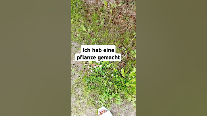 hab 1 monat gewartet
