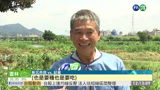 新北樂活農園作物鉛含量超標禁販售| 華視新聞20190619