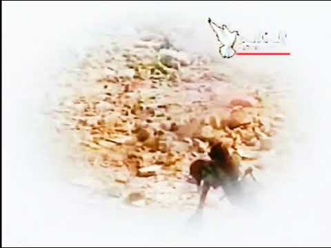 علي الدلفي وعامر الدلفي ليل الوطن صفكات قديمه ارشيف ابو مجتبى المالكي