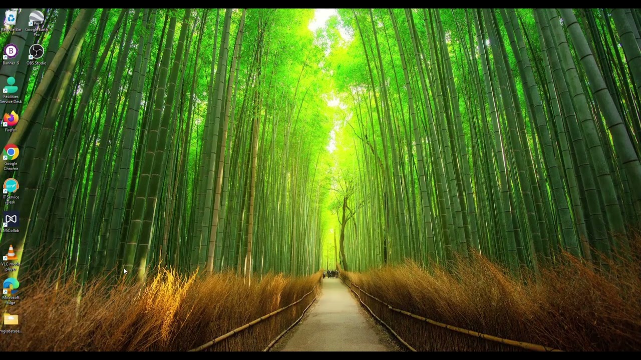 Module 1: Geo-Referencing and ArcMap Basic Editing Part 2