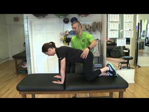 Lower Extremity Exercise - Fire Hydrants - Zion Physical Therapy Video