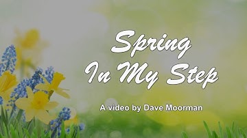 Spring in My Step -The Video