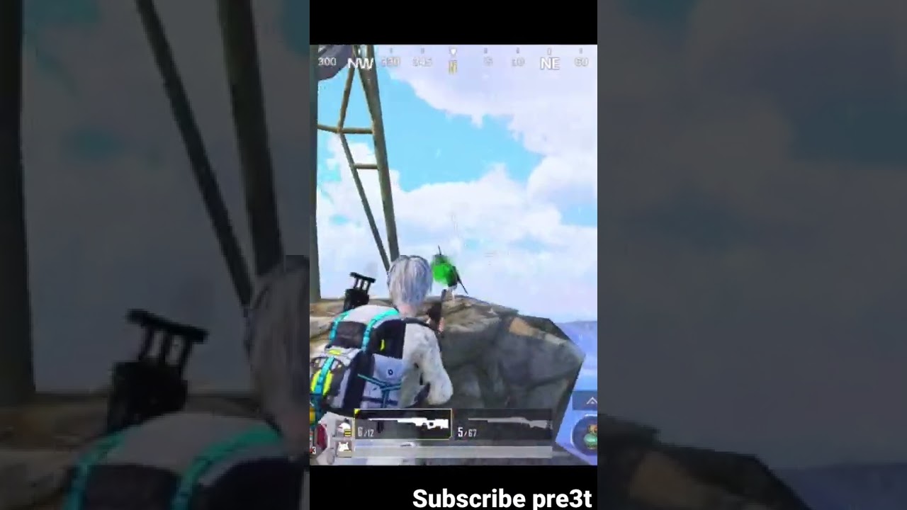 Flying cross hair snipe 