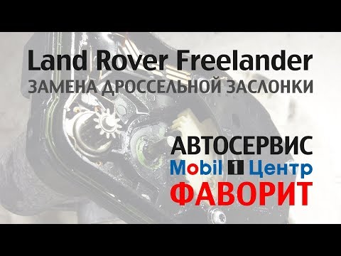 Замена дроссельной заслонки Фрилендер (Land Rover Freelander)