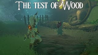 Breath of the Wild - The Test of Wood