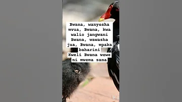 Yesu Ni Mwema B Mukasa Lyrics Video 