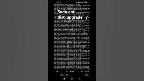 #kali Sudo apt dist-upgrade -y