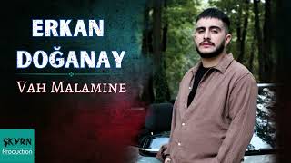 Erkan Doğanay - Vah Malamıne Resimi