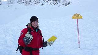 Avalanche Conditions Report 4 screenshot 2