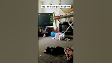 Day 1 of looping until I go viral #loop #shorts #fyp #viral