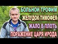 БОЛЬНОЙ ТРОФИМ // ЖЕЛУДОК ТИМОФЕЯ // ЖАЛО В ПЛОТЬ // ПОРАЖЕНИЕ ЦАРЯ ИРОДА // Разрушение мифов...