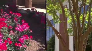 Hinds Cc Tennis Vs Jcjc