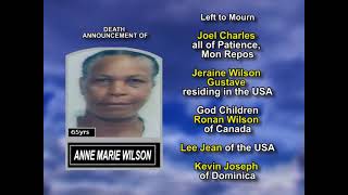 Anne Marie Wilson long