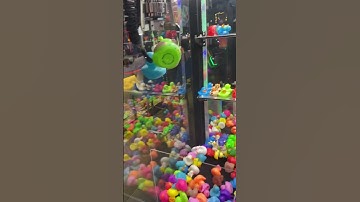 DOUBLE Duck claw machine win!!! #shorts #clawmachine #daveandbusters #arcade #win