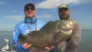 FOX Sports Outdoors SouthWEST #30  2018 Savannah Georgia Tripletail Fishing