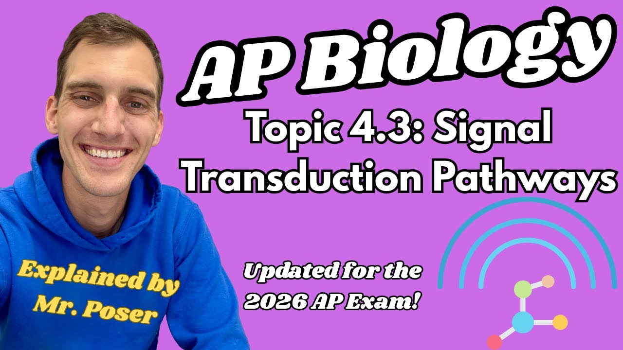 4.3 Signal Transduction Pathways - AP Biology (Updated 2025-2026)