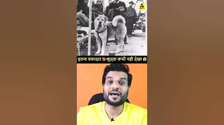 इतना वफादार कुत्ता कभी नहीं देखा होगा 😲| A2 Motivation |#shorts #AShortADay #a2_sir