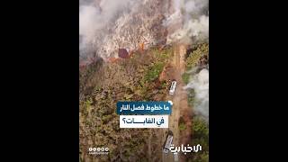 غيابها وسّع الحرائق.. غابات سوريا تفتقد لخطوط فصل النار