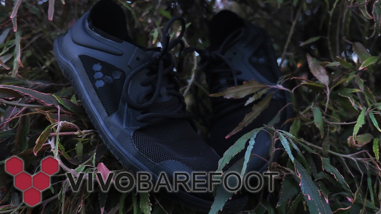 Overview of VIVOBAREFOOT Primus Lite III after 1 Year (Barefoot shoes) YouTube