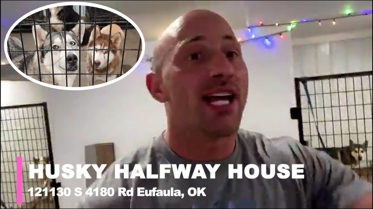 💲 HUSKY HALFWAY HOUSE raised 12K To Benefit The Dogs And Cats In Oklahoma YouTube