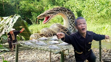 Dwarf Family Encounter Giant Python While Catching Fish and Preserving Fish in Primitive Way