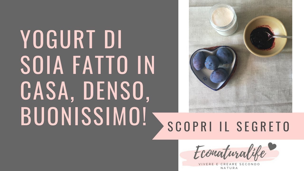 Yogurt di soia fatto in casa DENSO! 