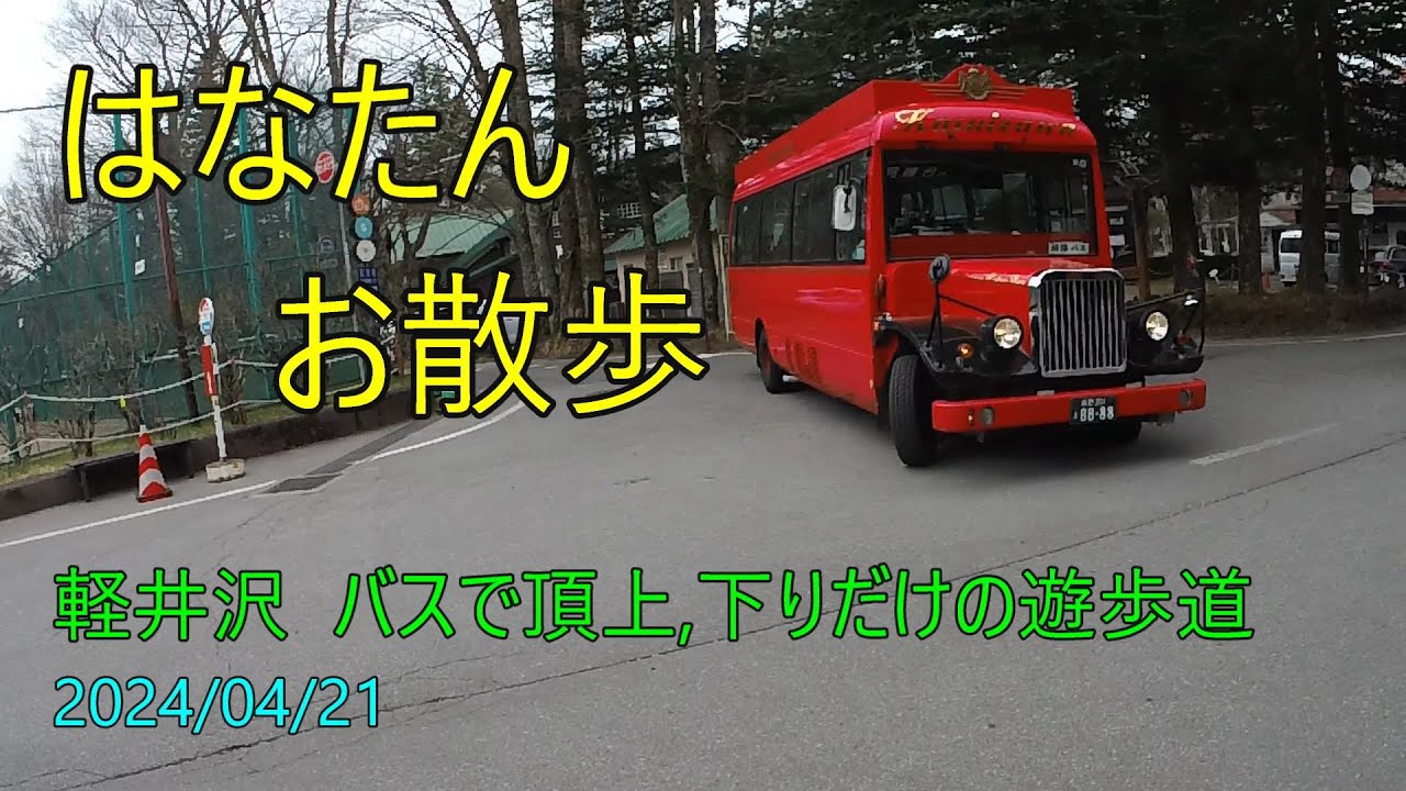 軽井沢 見晴台からの遊歩道、赤バス(小型犬可)で下りだけ