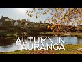 AUTUMN IN TAURANGA, NEW ZEALAND