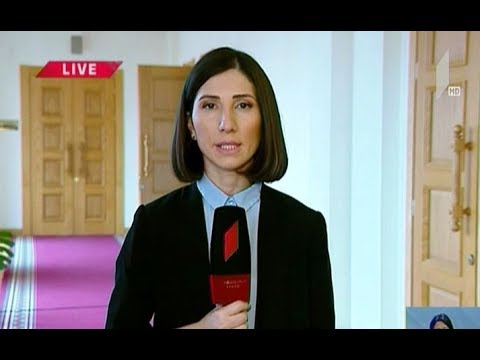 პარლამენტში დღეს მაია ცქიტიშვილს მოუსმენენ