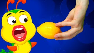 Fruit Song - Yummy Fruits Vegetables Kids Songs With Kido Puz