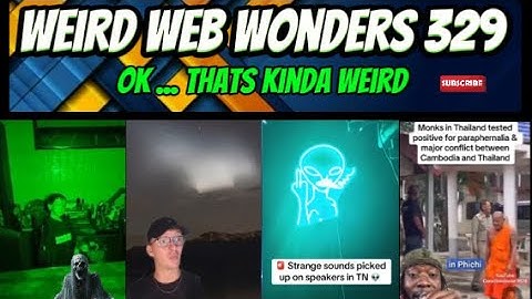 weird web wonders 329