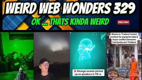 weird web wonders 329