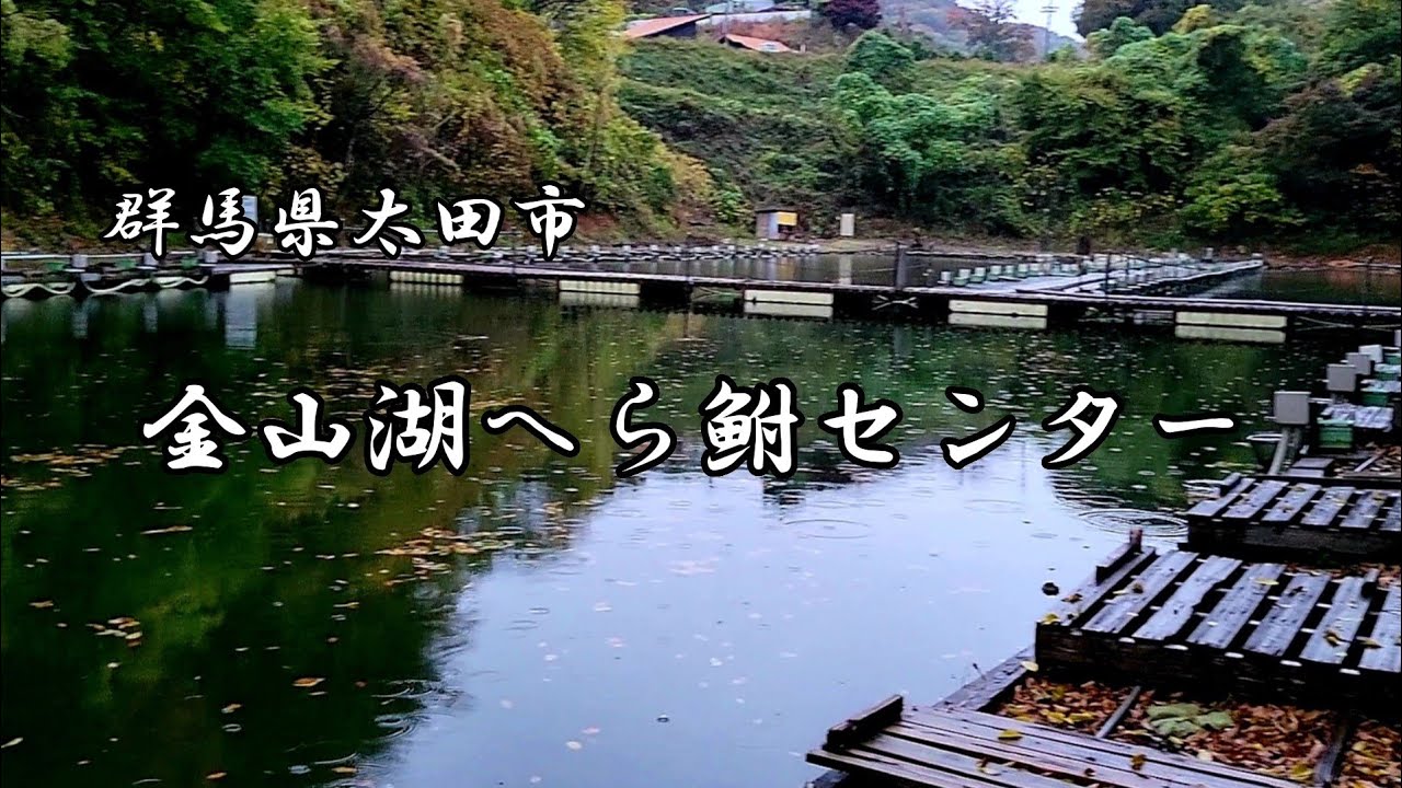 【へら鮒釣り🔰】群馬県太田市にある金山湖へら鮒センターにおじゃまさせていただきました🎵
