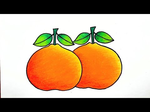 Simple coloring page. Cartoon orange coloring... - Stock Illustration  [85072432] - PIXTA