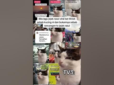 wallpaper ramadan kucing