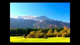 EN EL MONTE GORBEA
