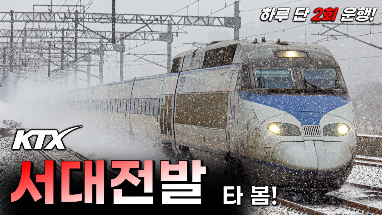 하루 단 '2번'만 운행?! 