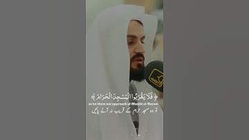 #hajj Raad Al kurdi Whatsapp status with Urdu English translation|سورة التوبة رعد الكردي