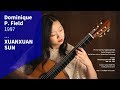 Carlo Domeniconi - Variations on an Anatolian Folksong / Xuanxuan Sun 쉬엔쉬엔쑨