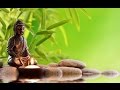 1 Hour | Relaxing Buddhist Music | Relajante música budista