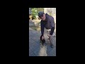 Schronisko dla kotów na Cyprze- Koty Malkolma (Malcolm Cat Protection Sociaty Cyprus)