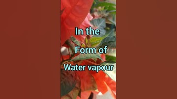 #shorts #learn   #transpiration  #definition #icse