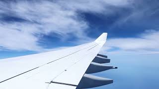 Relaxing Airplane Cabin ASMR 3D Soundscape w/ On Board Announcement Voices | 1 Hour White Noise