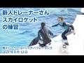 新人トレーナーさん　スカイロケットの練習【2021年4月12日】Orca performance, Kamogawa Sea World, Japan