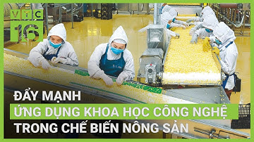 Đẩy mạnh ứng dụng khoa học công nghệ trong chế biến nông sản | VTC16