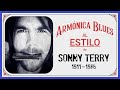 Cómo tocar ARMÓNICA BLUES  al ESTILO de SONNY TERRY | HARPVARD