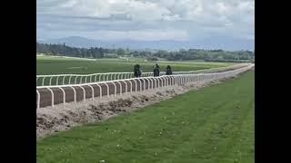 Elephant Johnkaysonciandreamline Amelia Old Vic Work