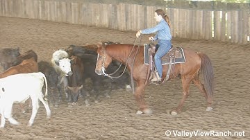 Master Spoon***For info, price, etc., go to our website***ValleyViewRanch.net